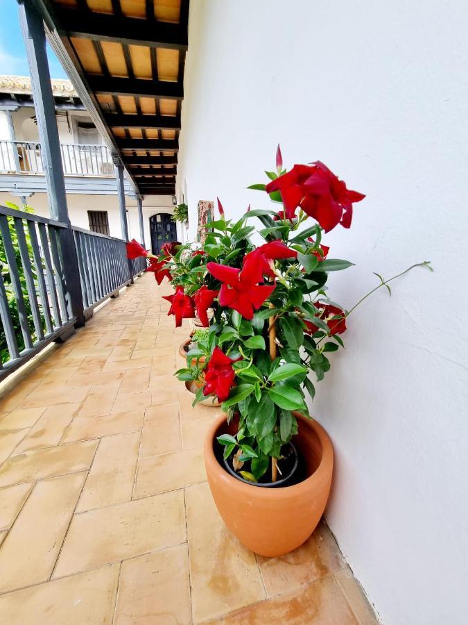 Apartamento Con Patio Sevillano Eksteriør bilde